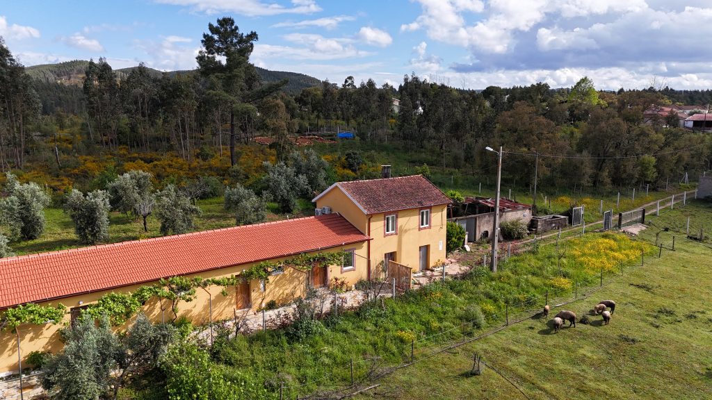 Quinta-Lina de Serpins