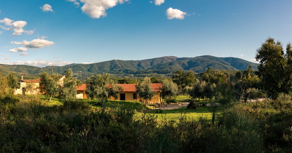 Quinta-Lina de Serpins