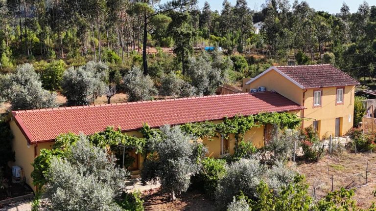 Suite with Terrace - Quinta-Lina de Serpins